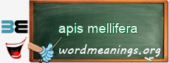WordMeaning blackboard for apis mellifera